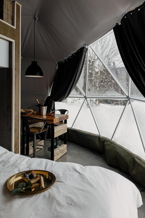 Apartament Les Diamants De L'Eternel Saint-David-de-Falardeau Zewnętrze zdjęcie